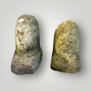 Dommerikken Duo 1