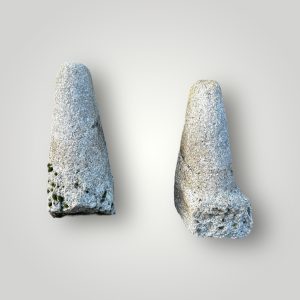 Dommerikken duo 2